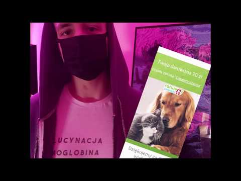 Zajek - #Hot16Challenge2#pomagajmytezzwierzetom