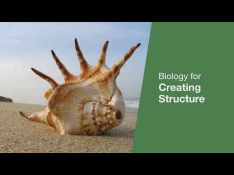 Synthetic Biology: New Tools for an Industry at an Inflection Point