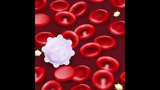 Download Lagu Life-Changing Gene Therapy for Beta-Thalassemia Patients with Jennifer Schneiderman, MD Thumbnail