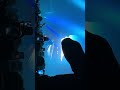 The Kid LAROI - TEAR ME APART (Live in Amsterdam, April 11th 2024) [4k, 60 fps]