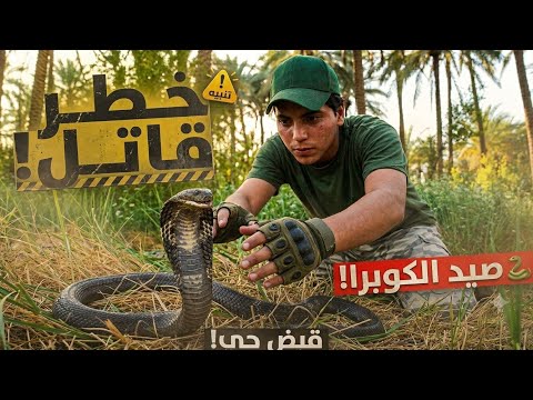 ​ما وجدته تحت النخيل صدم الجميع.. مواجهة مباشرة مع الكوبرا!