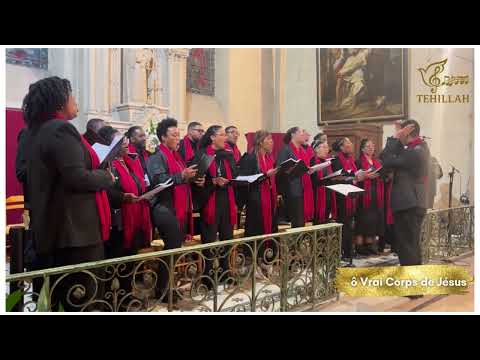 ô vrai corps de Jésus