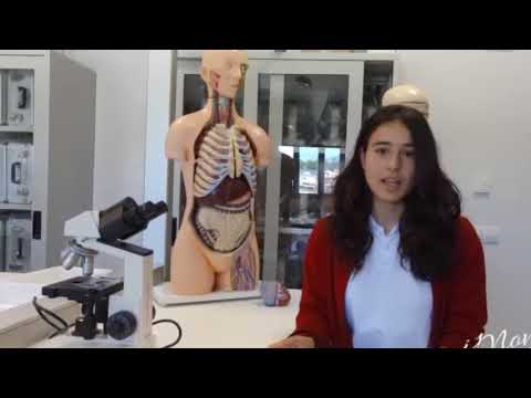 Recreos Naukas. La opinión de los alumnos