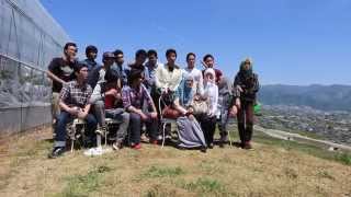 Strawberri Pick | YUMS14