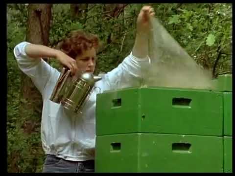 Фильм для начинающего пчеловода и со стажем.