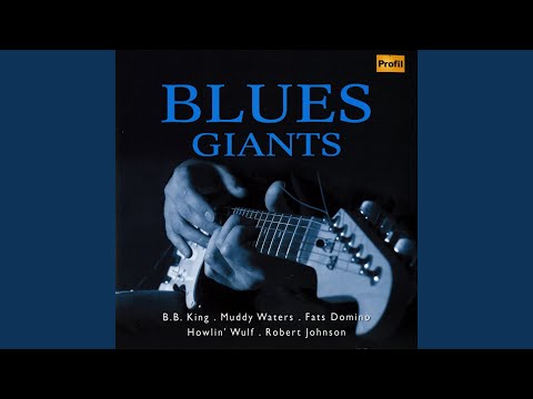 I Just Wanna Make Love to You