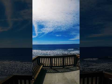 Malibu vibes 🌴 #malibu #california #losangeles #traveling #edenriboytravel #pacificocean #usa #sun