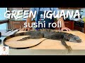 Green Godzilla Iguana Sushi | Catch Clean Cook