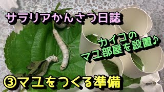【サラリアかんさつ日誌】おカイコさんがやってきた!!～命からの贈り物～③マユをつくる準備～