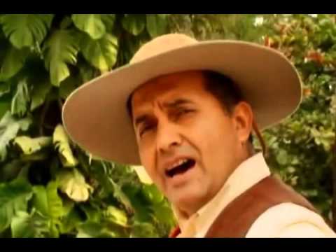 NEGRO PALMA - Por que Sera