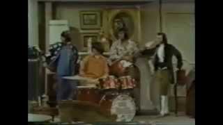 The Seeds - Pushin&#39; Too Hard