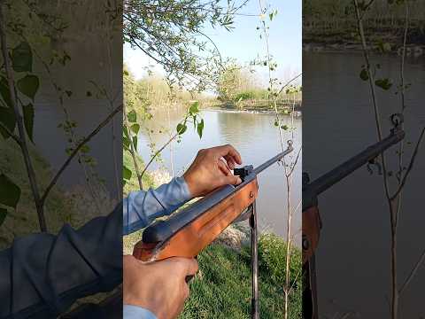 Affordable Chinese Airguns | Cheap China Air Rifles | Budget Airguns from China | Airguns under 10k