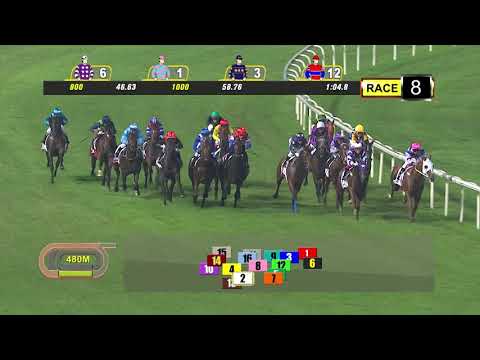 Singapore Guineas 2019 (Top Knight)