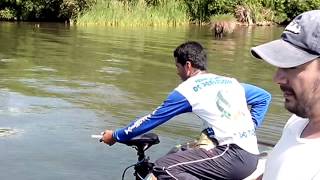 preview picture of video 'Soltando Tucunaré Azul - Itapura, SP - Guia Chiquinho'