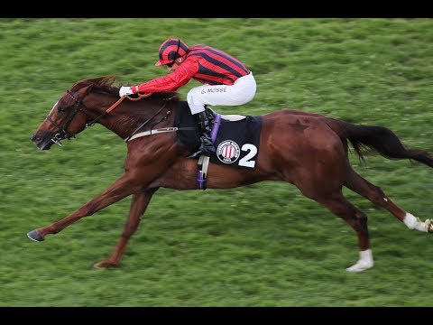 Hamburg: Sparkasse Holstein-Cup (Gr. III) - Siegerin: Indian Blessing