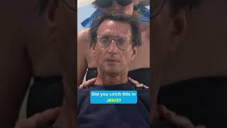 Download lagu Did you catch this in JAWS mp3