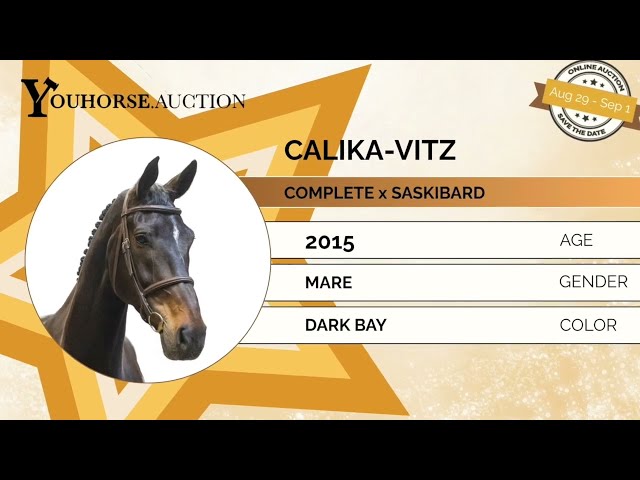 Calika Vitz showvideo