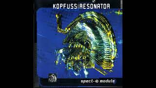 Kopfuss Resonator – Kein Traum