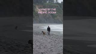 Living in Northern California 📸 Eureka Ca Realtor ®️ adventure the PNW