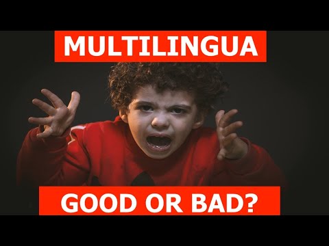 MULTI LANGUAGES & AUTISM SPECTRUM DISORDER?