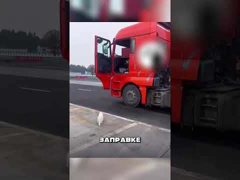 Этот Дальнобой шокировал весь Дагестан 🤯