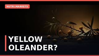 FDA's NEW WARNINGS: Yellow Oleander in Supplements - Is Your Brand at Risk?
