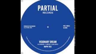 Naph-Tali / Jah Warrior - Visionary Dream - Partial Records 7