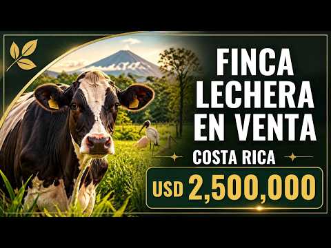 FINCA LECHERA LLAVE EN MANO EN VENTA EN COSTA RICA. /. TURNKEY DAIRY FARM FOR SALE IN COSTA RICA.