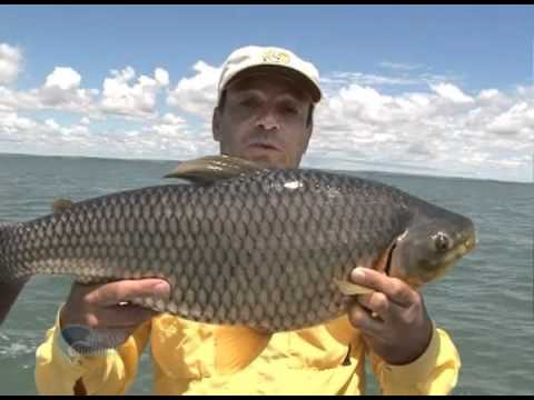 Episódio Programa Pesca Ninamica Parte 1