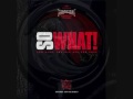 So What-Metallica (clean) 