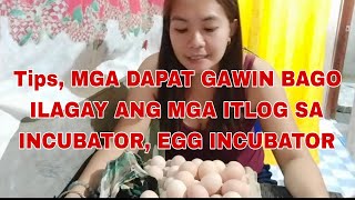 Tips MGA DAPAT GAWIN BAGO ILAGAY ANG MGA ITLOG SA INCUBATOR ,DIY INCUBATOR