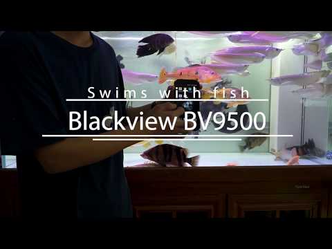 Blackview BV9500/BV9500 Pro Swims with Fish, Full Netcom IP68/IP69K rugged phone with 10000mAh