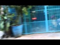 Demo fly 