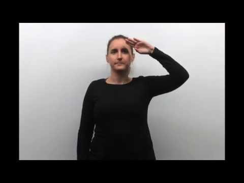 How to Sign Army, Soldier in NZSL