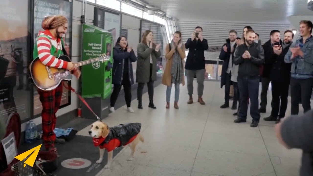 This Flash Mob Will Change Your Life