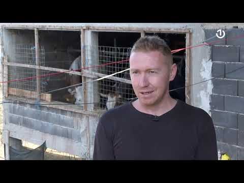 Stočarstvo u selu Semetiš