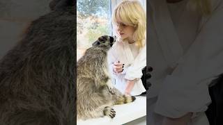 Disney Meerkat, Raccoons and Coatis! 👍🐾😍