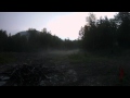 Moose In The Mist