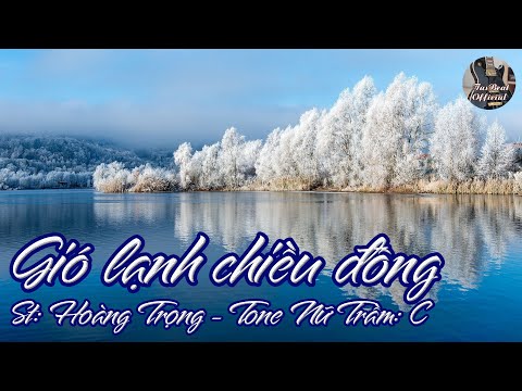 Karaoke Gió Lạnh Chiều Đông Tone Nữ Trầm | TAS BEAT