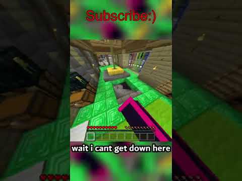 Fizzy - i played in SB737 Hardcore Minecraft World #shorts