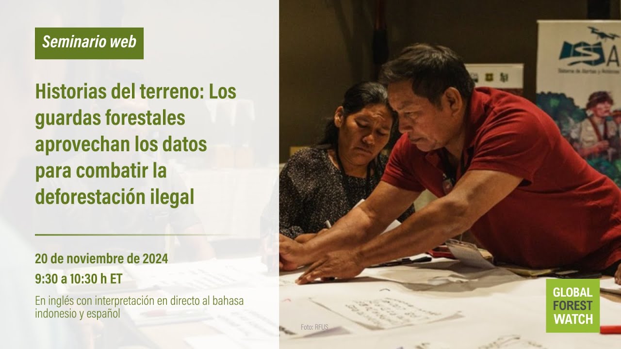 Los guardas forestales que aprovechan los datos para combatir la deforestación ilegal