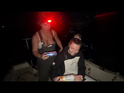 Night Bite , snapper fishing on the full moon 