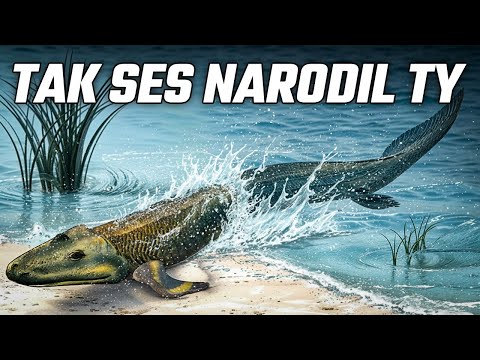 Skutečný Příběh Planety: Od Velkého Třesku po Dnešek | Celý Dokument