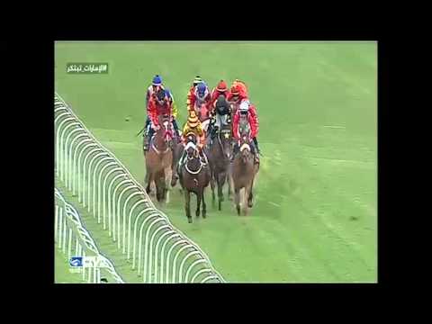 2015.11.28 Gauteng Racing Association Handicap (RSA) - Supertube