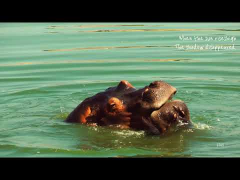 #Natur animals || Avesh || Ganda || #Elephant