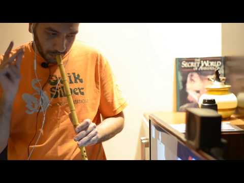 DESPACITO - Luis Fonsi ft. Daddy Yankee - Nay Cover by Fady Hennawy