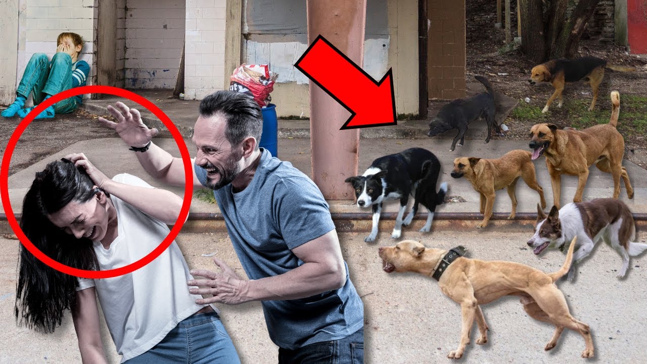 😱 MARIDO BORRACHO GOLPEA A SU ESPOSA E HIJOS. PERO ENTONCES APARECEN VARIOS PERROS Y POCO DESPUÉS...