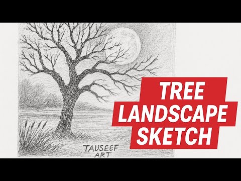 Beautiful Tree Landscape Sketch | Easy Pencil Scenery Drawing | Tauseef Art
