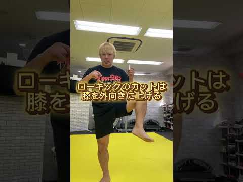 キックボクシング小技特集【カーフキックの防ぎ方】 #格闘技 #mma #キックボクシング