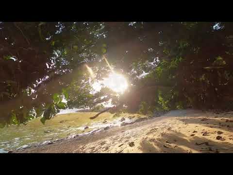 TREASURE  FOUND UNDER THE HEAT OF THE SUN